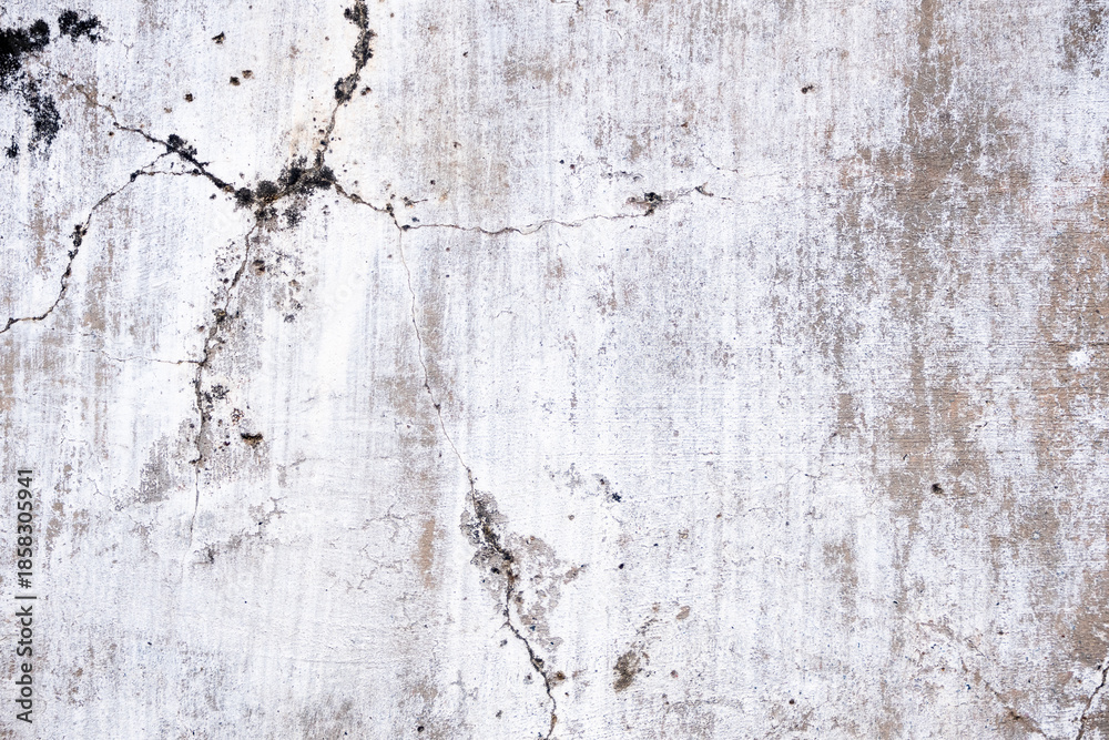 Obraz premium old wall texture background