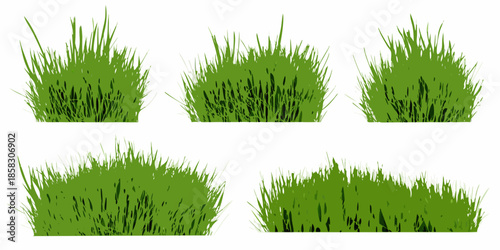 A collection of vibrant green grass tufts isolated on a white background