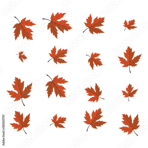 A vibrant collection of diverse autumn leaves showcasing the beauty 