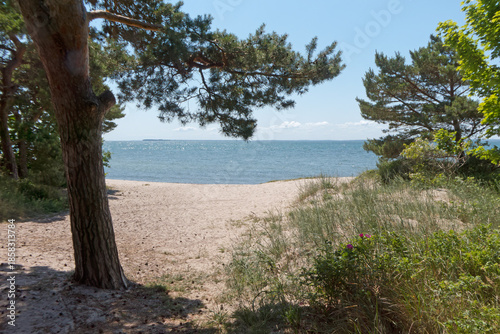 die Ostseeinsel Rügen hat auf dem Mönchsgut noch ruhige und naturbelassene Strände