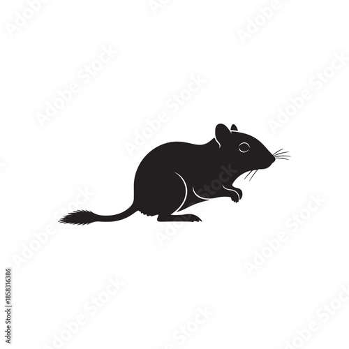 Mongolian gerbil silhouette icon vector flat illustration design.

