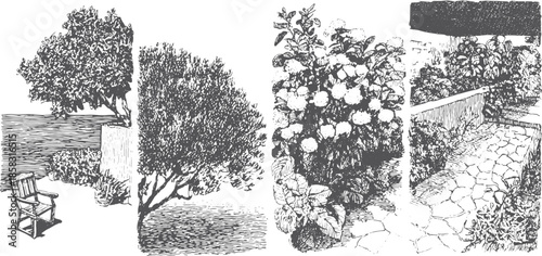 Garden illustration featuring trees, bushes, and flowers. Outdoor set with pathway and seating, highlighting natural elements in a detailed vector style.