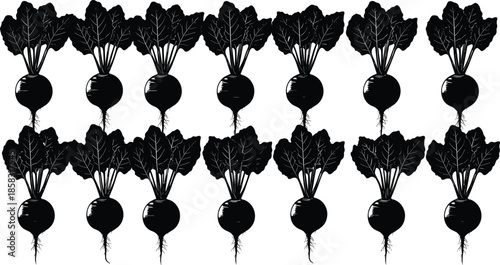 Beetroot, silhouettes, pattern, vegetables, organic, farm, fresh, food, healthy, nutrition, vegan, harvest, garden, roots, leaves, black, white, illustration, seamless, design