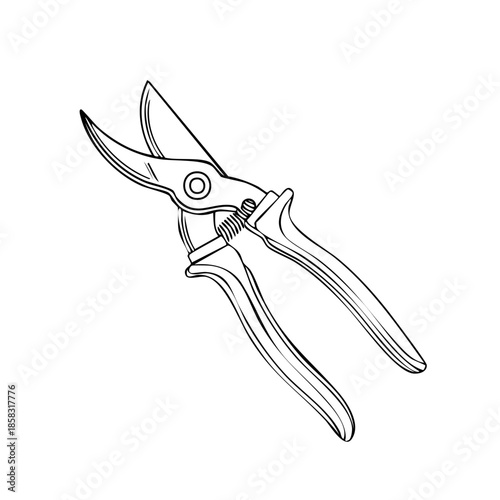 Drawing of Pruning Shears Sharp Gardening Tool for Horticulture and Landscaping Outline Illustration, Farm Equipment, Orchard Device