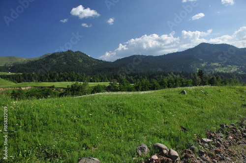 Scenic view of green hills and blue skies in a tranquil landscape during daytime