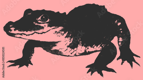 Lizard silhouette in black on a colorful background. Vector illustration featuring a simple design with outline detail.