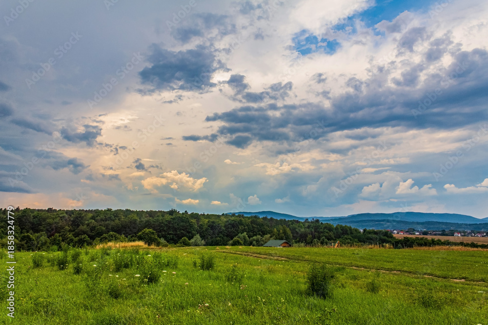 Obraz premium Landscapes, Forest, Carpathians, Photos of nature - Europe, Eastern Europe