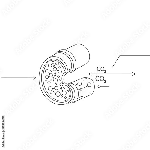 An advanced scientific diagram illustrates a complex membrane system or tubular device engineered for the efficient capture and processing of carbon dioxide.