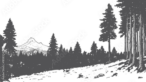 Mountain landscape silhouette with trees in black and white. This vector illustration depicts a natural outdoor scene.