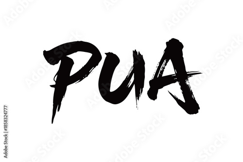 Obraz na plátně PUA矢量书法手写毛笔字