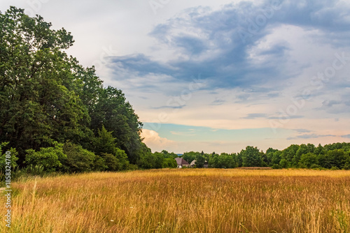 Photos Landscapes, Forest, Carpathians, Photos of nature - Europe, Eastern Europe