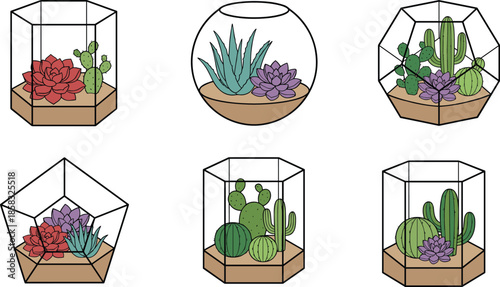 Geometric glass terrariums with cactus and succulents set, modern indoor plant decor, minimalist botanical vector illustration for home wall art