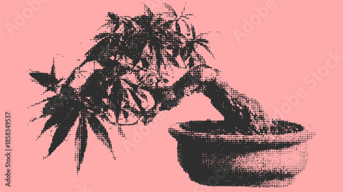 Bonsai tree illustration. Simple black art on pink background. This vector design represents nature in a minimal style.