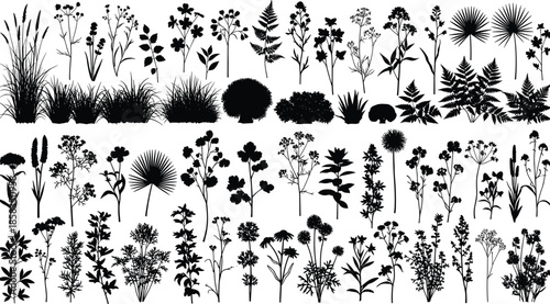 Big collection of black plant silhouettes including flowers, grass, ferns and leaves, vector illustration for nature design and botanical art.