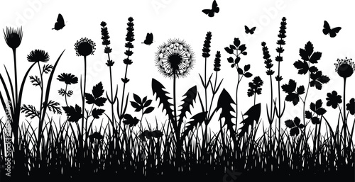 Black silhouette of wild meadow flowers with flying butterflies, nature grass field vector illustration for spring and summer design.