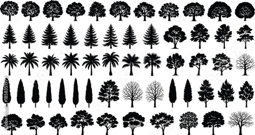 Mega collection of black tree silhouettes including pine, palm, oak and cypress, vector forest illustration for landscape architecture.
