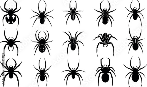 Black Spider Silhouette Vector Collection Set Featuring Realistic Arachnid Icons Including Black Widow Tarantula and Garden Spider Shapes for Halloween Design