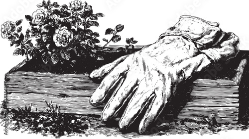 Garden gloves resting on a wooden planter with blooming roses. A traditional black and white vector illustration highlighting gardening themes.