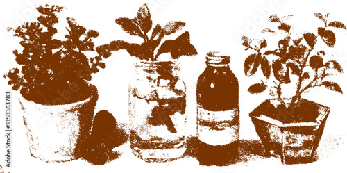 Potted plants in a vintage style set, featuring herbs in various containers. The vector illustration highlights a botanical arrangement.