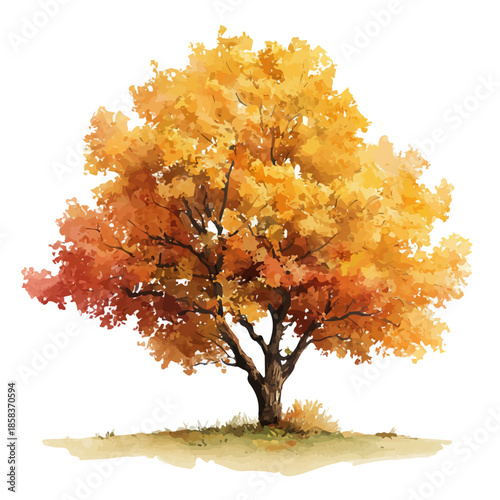 Watercolor Maple Tree vector, artistic painting style, high-resolution illustration on a pure white background.