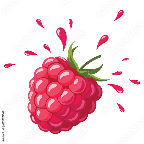 Juicy Raspberry Splashing with Sweetness and Refreshment