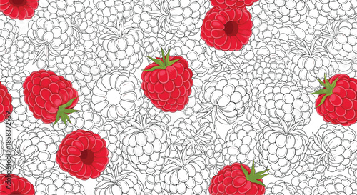 Seamless pattern with realistic red raspberries and black and white line art flower outlines on a clean white background.