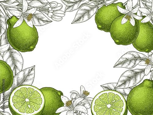 Fresh Pear and Lime Botanical Frame Illustration with Natural Leaves
