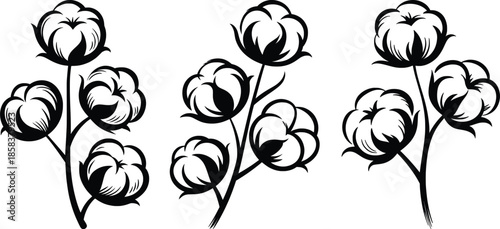 Cotton Flower Botanical Line Art Illustration Black and White Floral Design.