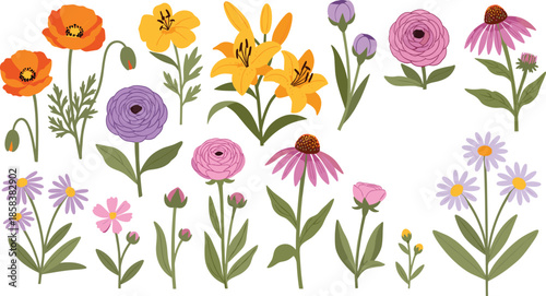 Foto Hand drawn floral illustration set with poppy lily ranunculus coneflower daisy a