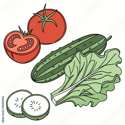 Fresh Tomato  Cucumber  Lettuce Composition  Minim (6) Vector Illustration