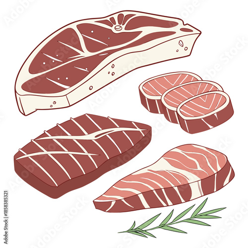 Raw Meat Cuts Neatly Arranged  Flat Vector  Isolat (9) Vector Illustration