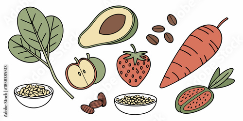 Healthy Vegan Food Ingredients  Flat Vector  White (9) Vector Illustration