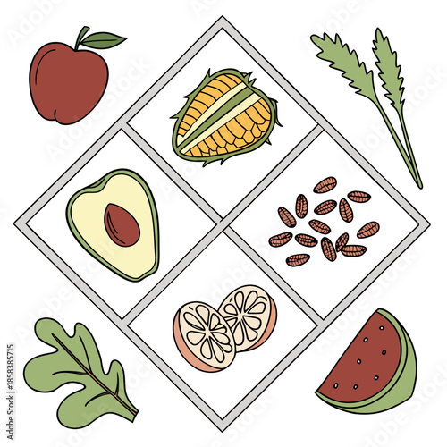Raw Food Ingredients Organized In Grid Composition (7) Vector Illustration