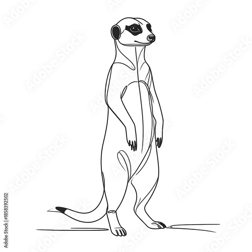 Line drawing of a meerkat standing upright, alert