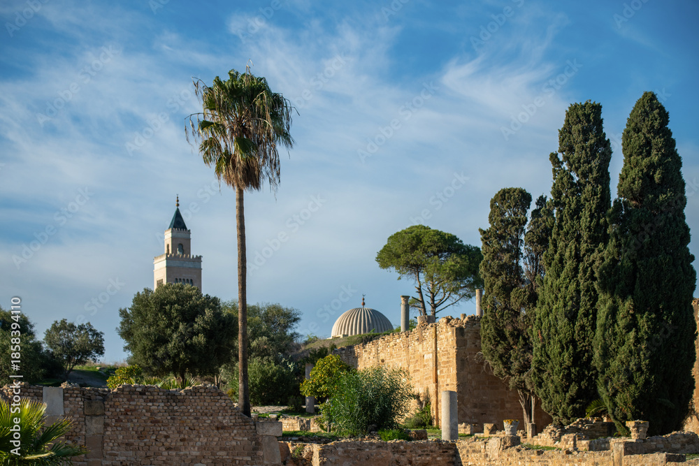 Obraz premium Colline de l'odéon et parc des villas romaines de Carthage
