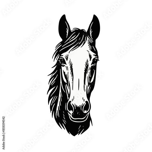Illustration of a Horse's Head, Black and White, Artistic Representation