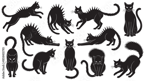 Collection of Chasing and Sitting Cats Silhouettes on Transparent Background