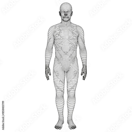 Abstract wireframe representation of a human body, showcasing digital anatomy and technology in science.