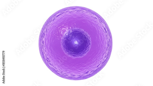 Tableau sur toile Isolated cellular structure with nucleus in purple hue for biology and science i