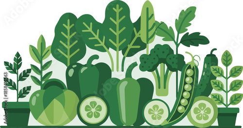 Create a Group of different green plants and vegetables vector art with white background.