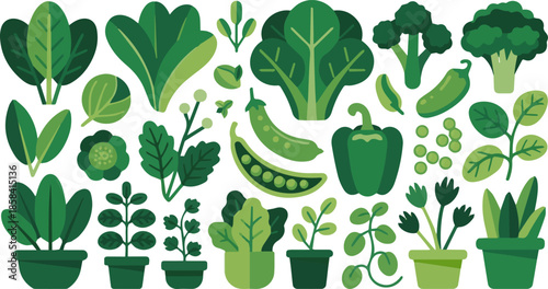Create a Group of different green plants and vegetables vector art with white background.