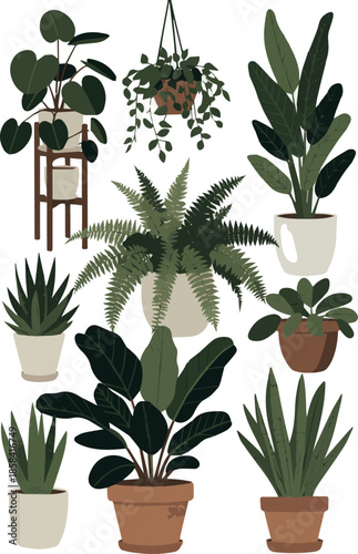 Create a kinds of deferent realistic Composition of flowers and plants arranged in pots and on plant stands, cut out vector art with white background.