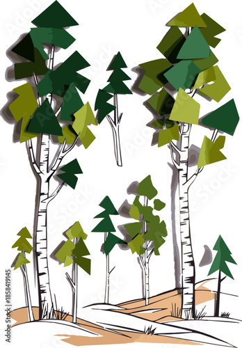 Create a kinds of deferent realistic Group of aspen trees from the genus populous vector art with white background.
