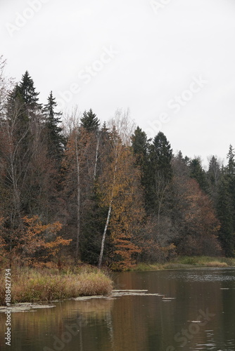 Vorya River in the museum-reserve 
