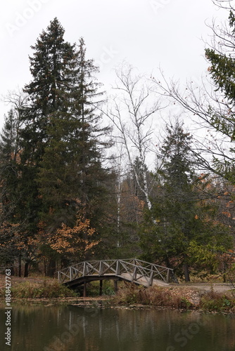 Picturesque wooden arched bridge over a pond on the Vorya River in the Abramtsevo Museum Reserve, Sergiev Posad district, Moscow region