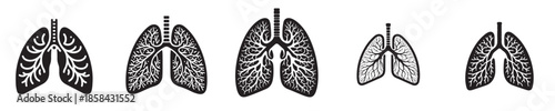 A picture of Lungs in sillhouette with white Background