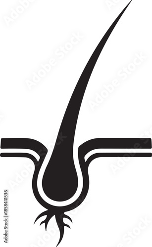 Silhouette hair follicle medical anatomy vector illustration