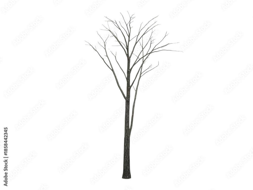 Obraz premium 3D Single dead tree silhouette with bare winter branches and a black trunk isolated on a white background for nature vector art design illustration