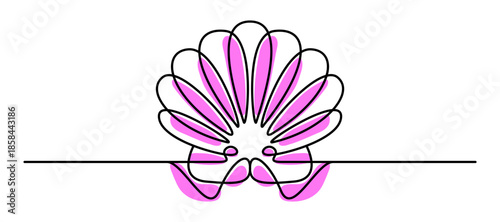 Continuous line drawing of seashell minimalist vector illustration