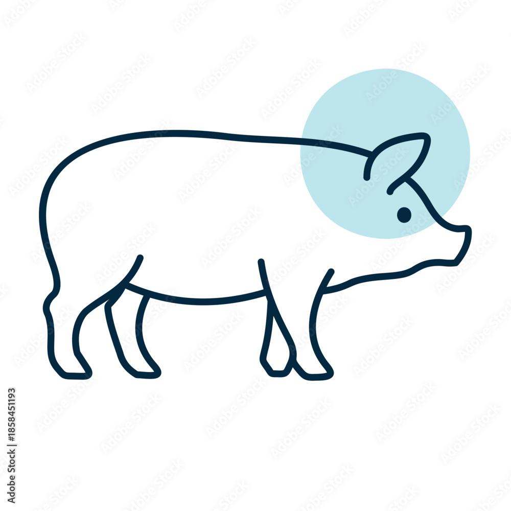 Fototapeta premium Domestic Pig Side View Flat Line